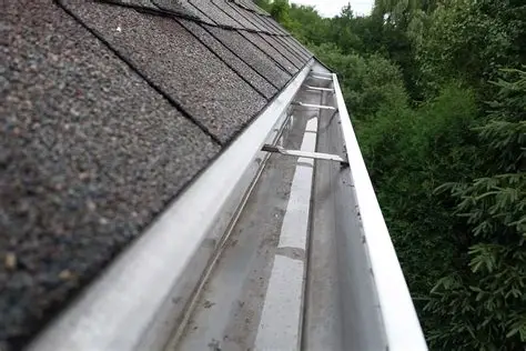 Clean gutter