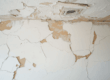 Signs You Need Drywall Repair